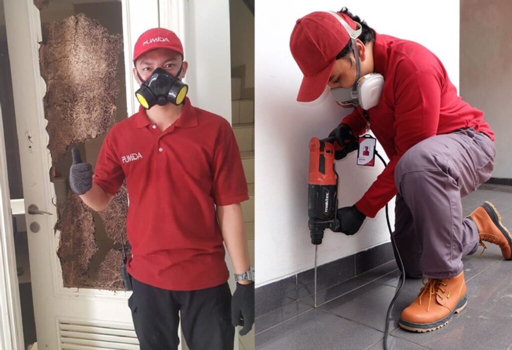 Bahan Dapur yang Ampuh Basmi Rayap dengan Cepat