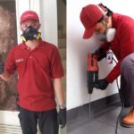 Bahan Dapur yang Ampuh Basmi Rayap dengan Cepat
